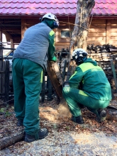 2018-0325