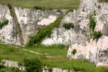 2011-1100