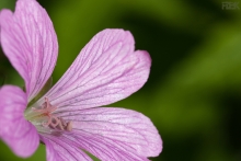 2009-070