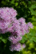 2009-072