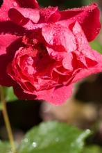 2009-093