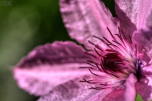 2009-161