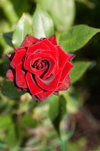 2010-0253