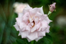 2012-0183