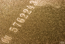 2009-006