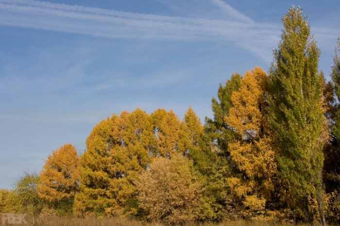 2008-045