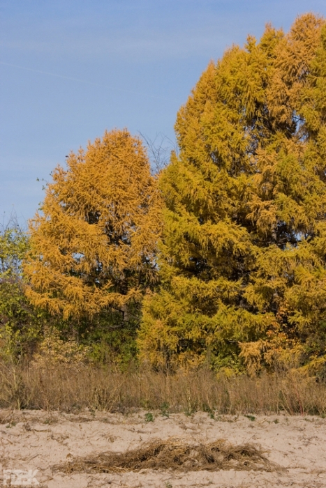 2008-058
