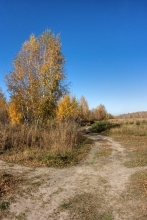 2009-321