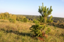 2012-0511