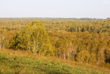 2012-0513