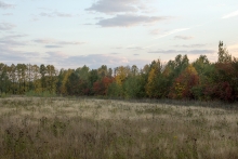 2012-0515