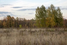 2012-0516