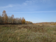 2012-0598