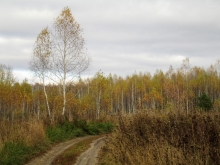 2013-0087