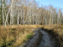 2013-0089