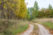2014-0410