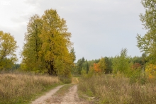 2014-0411