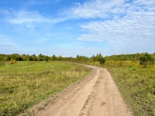 2023-0355