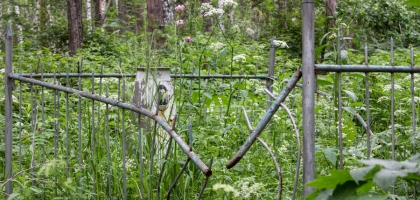 Abandoned Graveyard, Akademgorodok (2014)