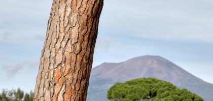 Day 12 (Naples, Pompeii & Herculaneum)
