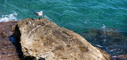 Day 07 (Cefalu, etc.)