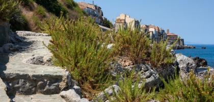Sicilian Pastorale