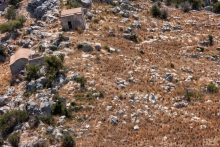2010-1430