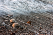2010-1440