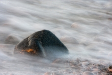 2010-1443