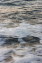 2010-1455