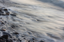 2010-1458