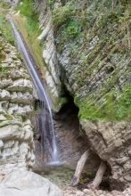 2014-0650