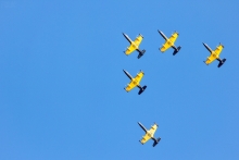 2014-0784